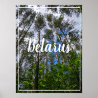 Nature Landscape Look Up Forest Belarus Poster