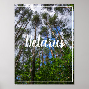 Nature Landscape Look Up Forest Belarus Poster