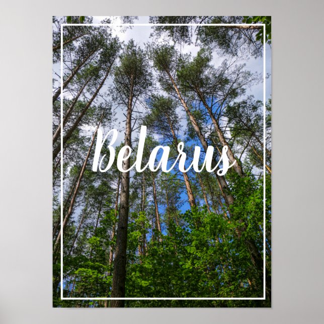Nature Landscape Look Up Forest Belarus Poster (Front)