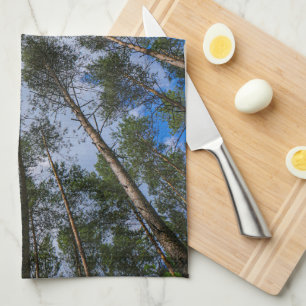 Nature Landscape Look Up Forest Trees Tea Towel