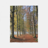Nature landscape photography autumn trees