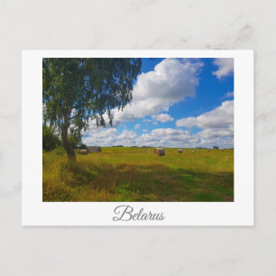 Nature Landscape Scenery Birch Tree Belarus Postcard
