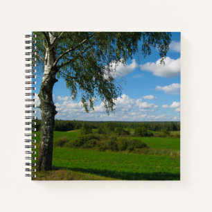 Nature Landscape Scenery Birch Trees Belarus Notebook