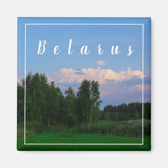 Nature Landscape Scenery Forest Belarus Magnet (Front)