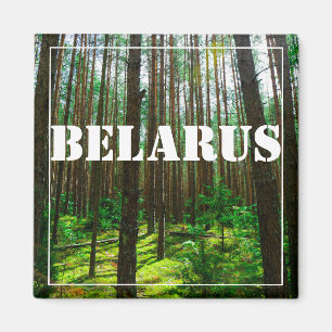 Nature Landscape Scenery Forest Belarus Magnet