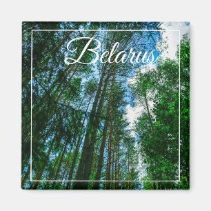 Nature Landscape Scenery Forest Belarus Magnet