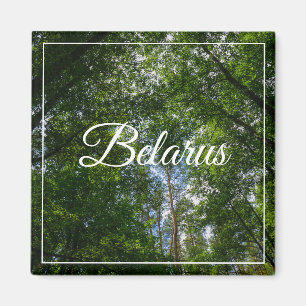Nature Landscape Scenery Forest Belarus Magnet