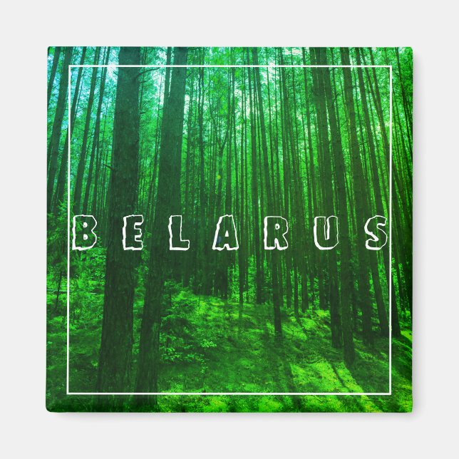 Nature Landscape Scenery Forest Belarus Magnet (Front)