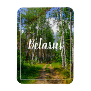 Nature Landscape Scenery Forest Birch Belarus Magnet