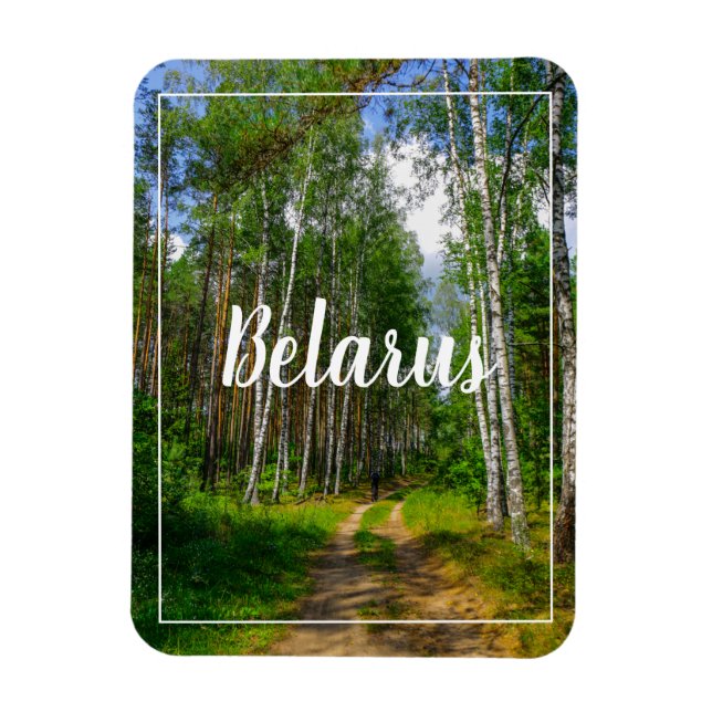 Nature Landscape Scenery Forest Birch Belarus Magnet (Vertical)