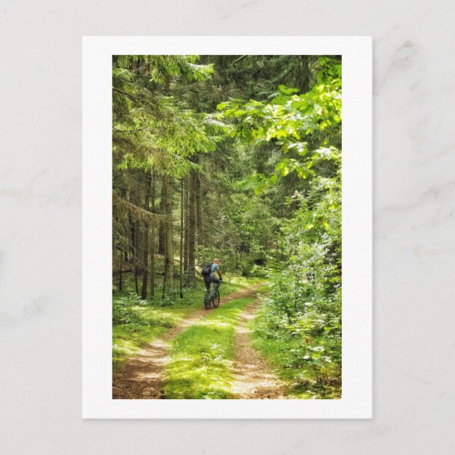 Nature Landscape Scenery Forest Cycling Belarus Postcard (Front)