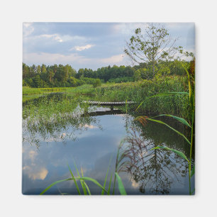 Nature Landscape Scenery Forest Lake Pier Belarus Magnet