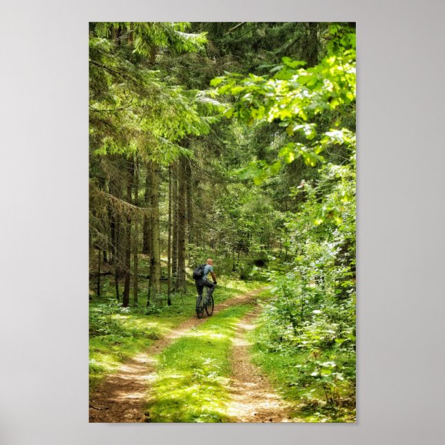 Nature Landscape Scenery Forest Trees Belarus Poster (Front)