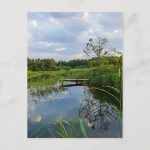 Nature Landscape Scenery Lake Belarus Postcard