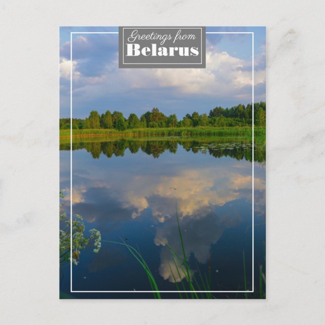 Nature Landscape Scenery Lake Belarus Postcard (Front)