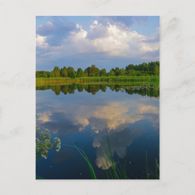 Nature Landscape Scenery Lake Belarus Postcard (Front)
