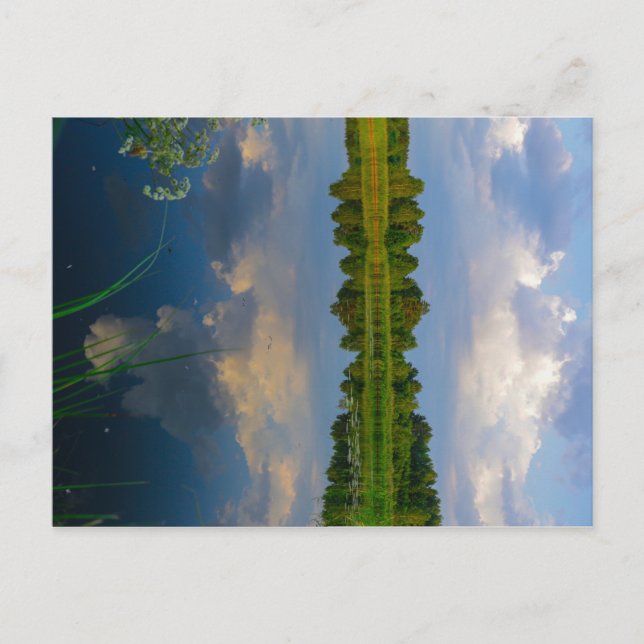 Nature Landscape Scenery Lake Belarus Postcard (Front)