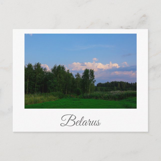 Nature Landscape Scenery Meadow Belarus Postcard (Front)