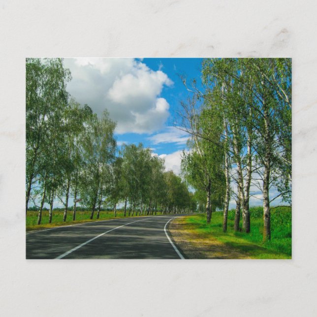 Nature Landscape Scenery Rural Belarus Postcard (Front)