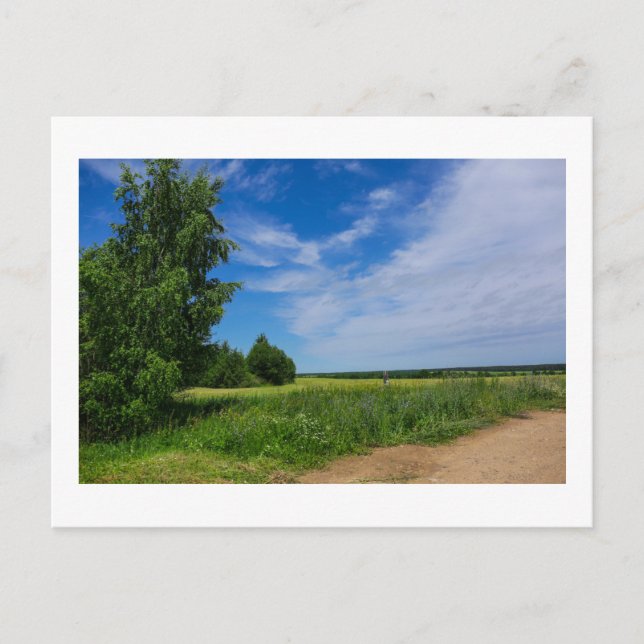 Nature Landscape Scenery Rural Road Belarus Postcard (Front)