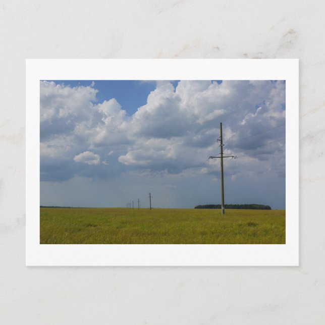 Nature Landscape Scenery Wheat Field Belarus Postcard (Front)