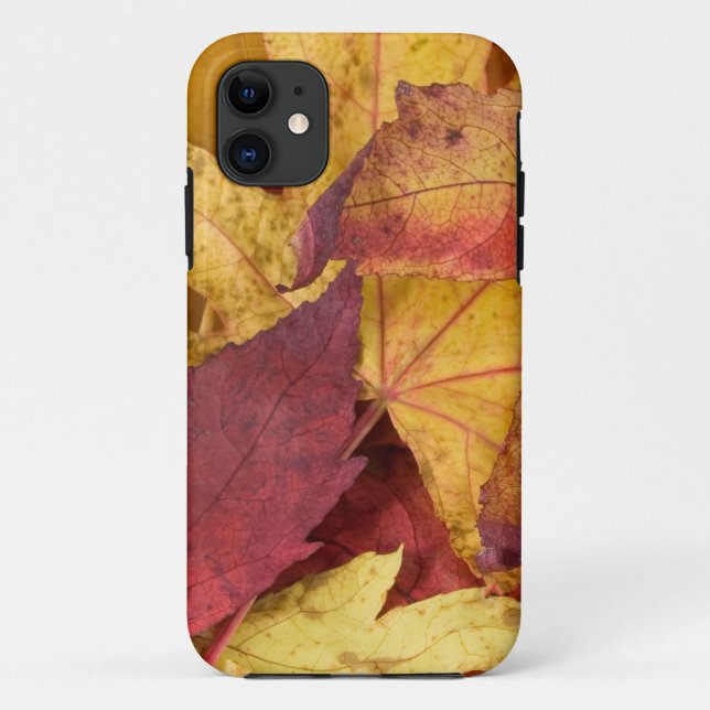Nature Leaves Autumn Fall Tree Leaf Colourful Art Case-Mate iPhone Case (Back)