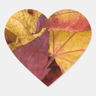 Nature Leaves Autumn Fall Tree Leaf Colourful Art Heart Sticker