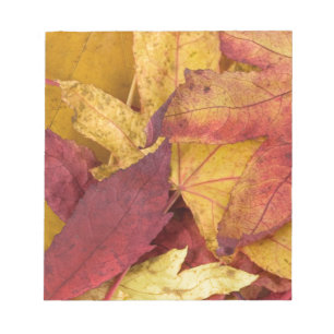Nature Leaves Autumn Fall Tree Leaf Colourful Art Notepad