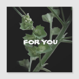 NATURE LOVE NATURE GIFT