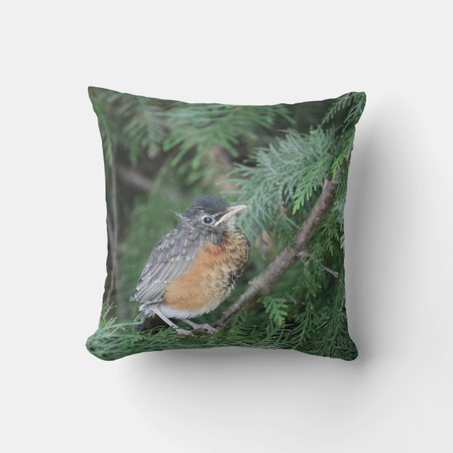 Nature lovers robin pillow (Front)