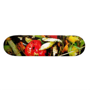Nature Morte 18 Skateboard
