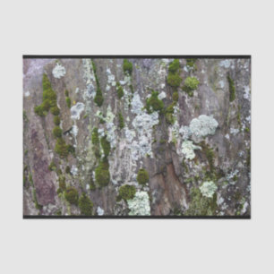 Nature Moss Lichen Camouflage Photo Tissue Paper