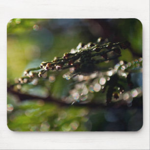 Nature Mouse Pad with abstract Cedar branch photo