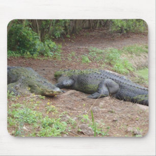 NATURE MOUSEPAD
