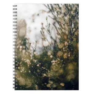 NATURE  NOTEBOOK