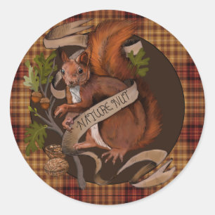 Nature Nut Squirrel Classic Round Sticker