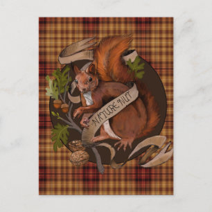 Nature Nut Squirrel  Postcard