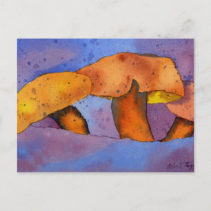 Nature Oddities Postcard