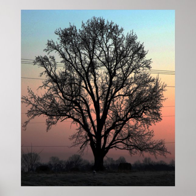 Nature or Nurture? Poster (Front)