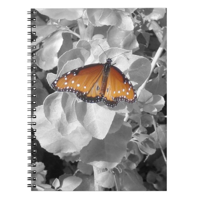 Nature Orange Monarch Butterfly Photo Black White Notebook (Front)