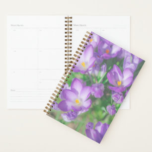Nature Pale Purple Pastel Crocus Flowers Floral Planner