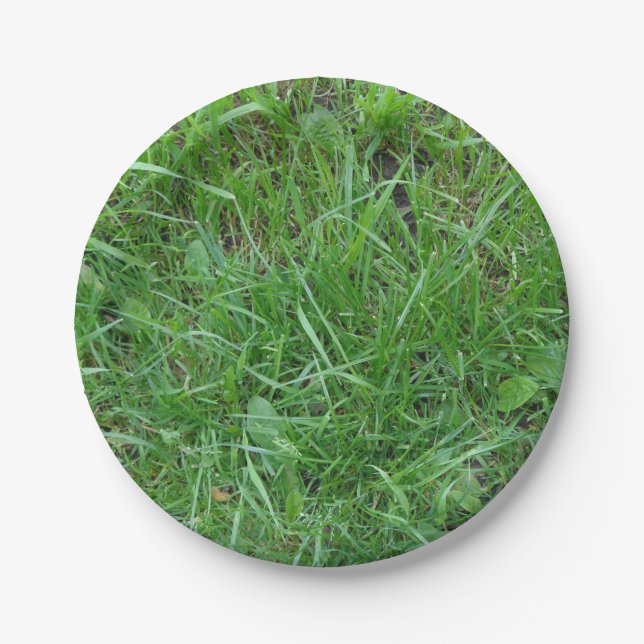 Nature, Patch of Grass, Paper Plate (Front)
