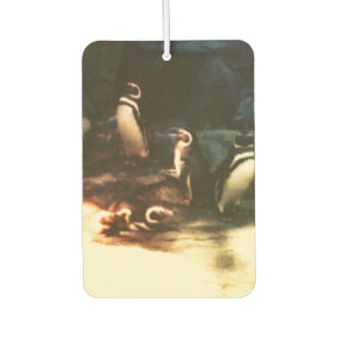 Nature Penguin Photography Art Car Air Freshener