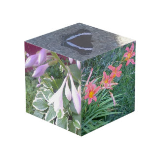 Nature Photo Cube