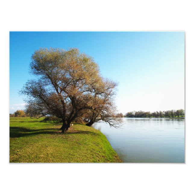 nature photo print (Front)
