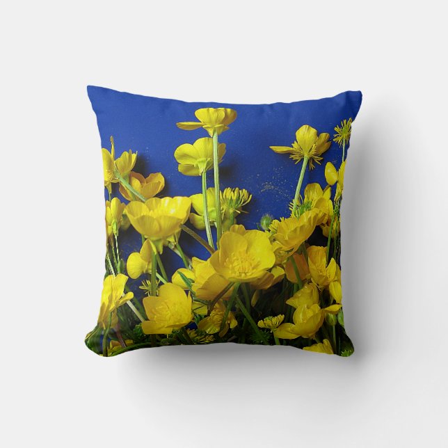 Nature photographs; buttercups cushion (Front)