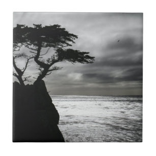 Nature Photography Black and White Ceramic Tile