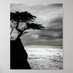 Nature Photography Black and White Poster