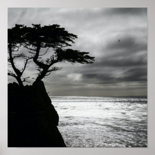 Nature Photography Black and White Poster