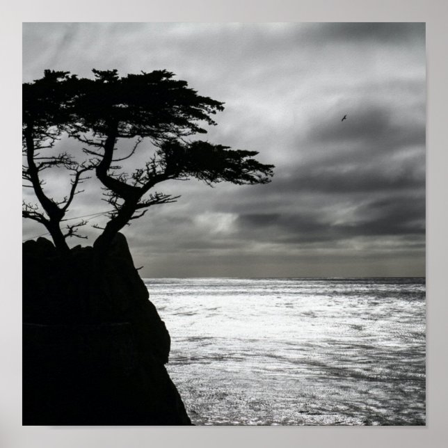 Nature Photography Black and White Poster (Front)